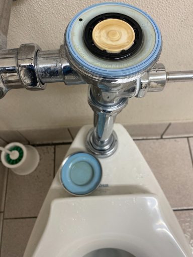 Someone stole the top cover! Sloan sensor replaced